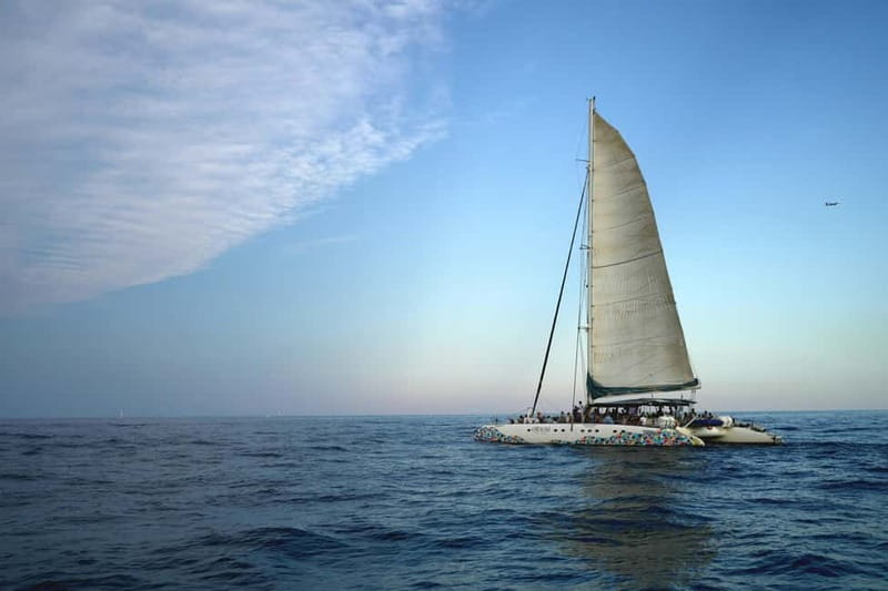 Valencia: Catamaran Adventure with Swimming Stop - Starting Point and Group Size for an Intimate Experience