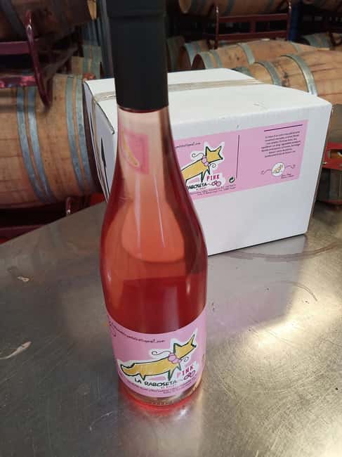 Valencia: Gourmet Tapas Exclusive Tour - The Stroll to Canovas: Discovering Valencia’s Most Exclusive Neighborhood