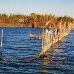 Valencia: Guided Lake Albufera Boat Ride and Barraca Tour - Starting Point at Paseos en Barca Albufera "Rosa y Tonet"