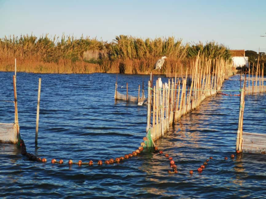 Valencia: Guided Lake Albufera Boat Ride and Barraca Tour - Starting Point at Paseos en Barca Albufera "Rosa y Tonet"