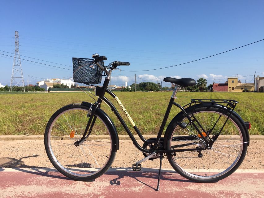 Valencia: Horchata Bike Tour - Starting Point Near Valencia’s Port