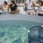 Valencia Oceanogràfic Entry with Backstage tour in Spanish - Location and Meeting Point at Valencia’s City of Arts and Sciences