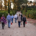 Valencia: Orange Farm and Orchard Trip with Tastings - Picking and Calibrating Oranges: A Live Farming Demonstration