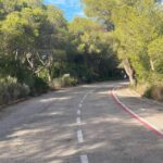 Valencia: The Albufera Lake Self-Guided E-Bike Tour - Starting in Valencia’s Trendy Ruzafa District