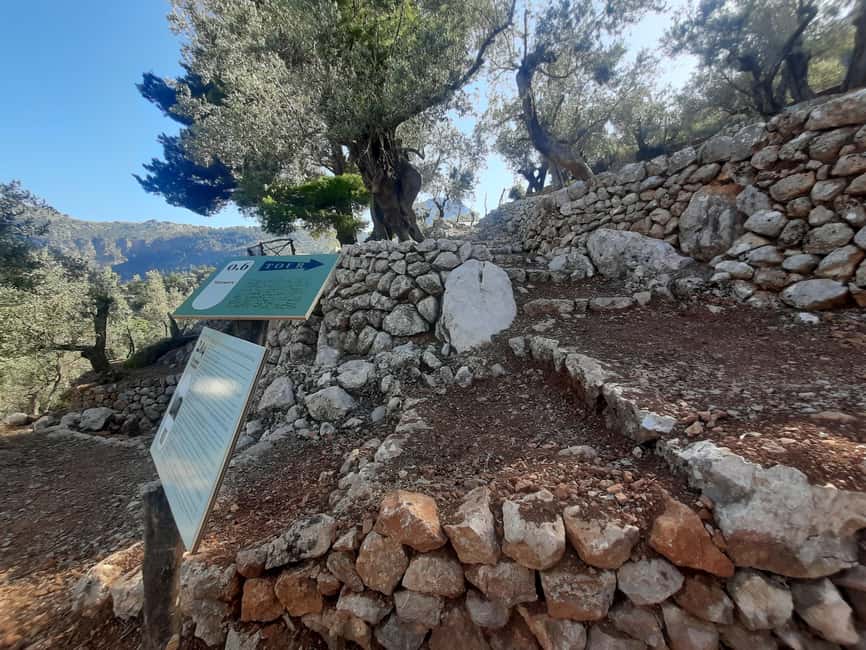 Valle de Sóller, Fornalutx: Olive grove tour, oil tasting, and local products - Exploring the Olive Grove with Heritage Significance