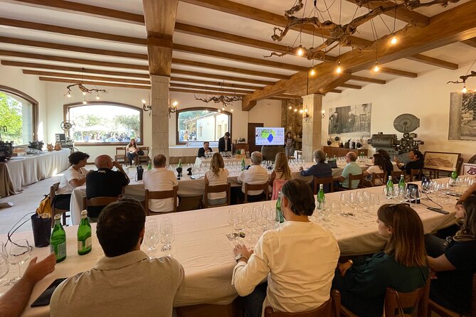 Valle delle Ferle with Wine Tasting and Lunch in Caltagirone - A Close Look at Valle delle Ferle’s Organic Wine Production