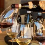 Valpolicella: 1.5-Hour Guided Winery Tour with Wine Tasting - Discover the Valpolicella Landscape and Winery Setting