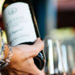 Valpolicella: Winery Tour with Red Wine&Cicchetti tasting - Walking Through the Organic Vineyards in Veneto