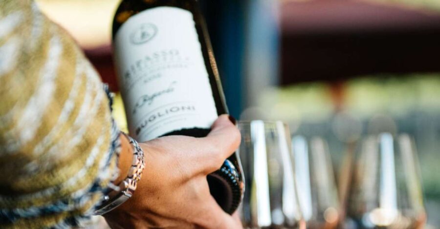 Valpolicella: Winery Tour with Red Wine&Cicchetti tasting - Walking Through the Organic Vineyards in Veneto