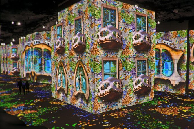 Van Gogh & Carrières de Lumières Half-Day Tour from Avignon - The Immersive Experience at Carrieres des Lumieres