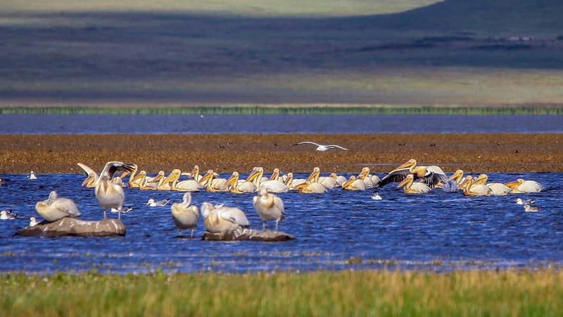Vardzia. Lake Paravani, Khertvisi & Lomsia castle, Rabati - Discover Vardzia: Carved Between the 12th and 13th Centuries