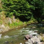 Vardzia Tour from Tbilisi with Rabati Castle and Borjomi Park - Visiting Vardzia: The 12th-Century Cave Monastery