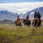 Varmahlid: Viking Horse Riding Tour - What Makes the Icelandic Horse Special on This Tour