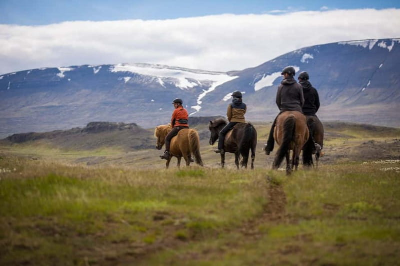 Varmahlid: Viking Horse Riding Tour - What Makes the Icelandic Horse Special on This Tour
