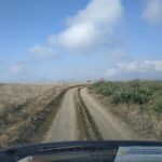 Vashlovani National Park Day Trip from Tbilisi - Exploring the Vast Wilderness of Vashlovani National Park