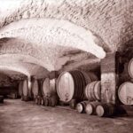 Vaucluse - Tasting & tour at Château Saint Estève: La Verticale - Visiting the Cellar and Historic Vaults