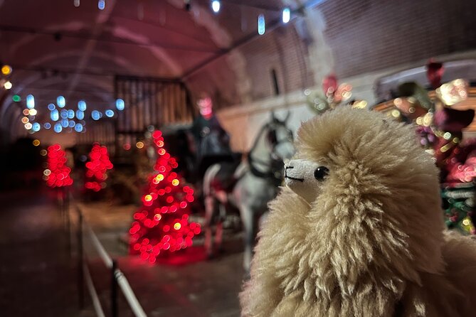 Vaux-le-Vicomte Castle Private Guided Half-Day Tour from Paris - From Paris to the Historic Château in Style