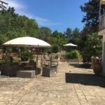 Vegan Charme: Typical Dinner with a Local in Monopoli - The Four-Course Vegan Meal and Local Liqueurs