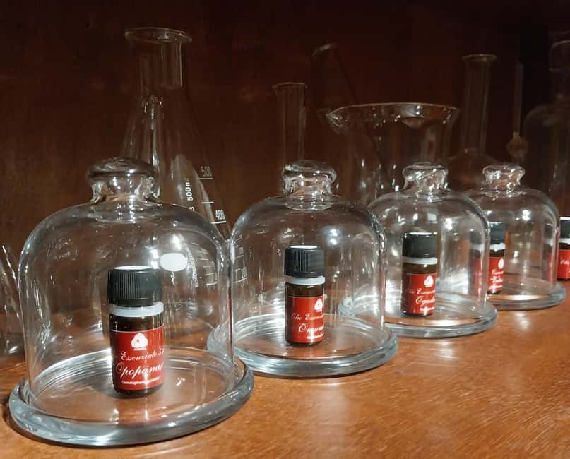 VENICE, FRANKINCENSE AND MYRRH! A JOURNEY ON AROMATICS TRADE - The Origins of Venice’s Aromatic Trade and Its Significance