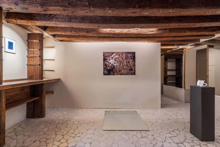 Venice Wine Tasting and Contemporary Art - Curated Wine Selection and Sensory Exploration