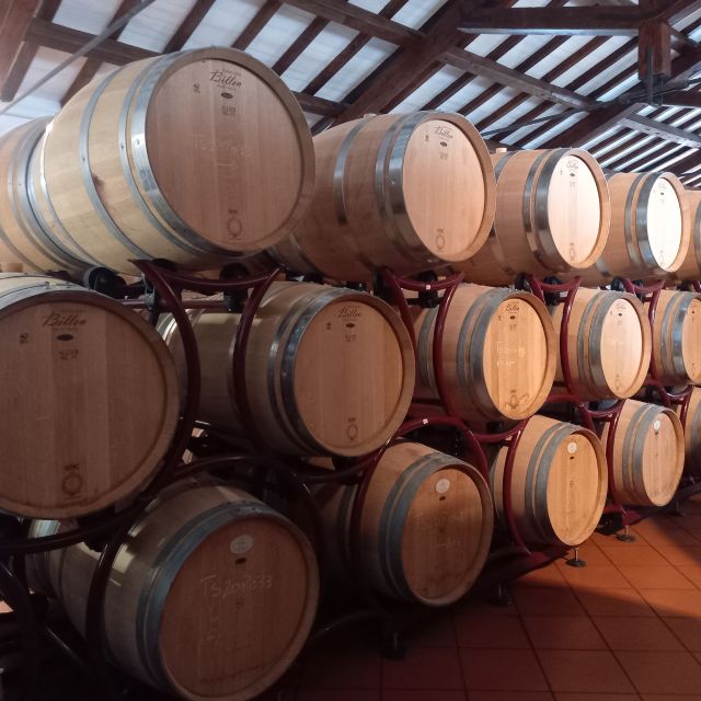 Venosa: Re Manfredi Winery Tour with Tastings - The Philosophy of Quality at Re Manfredi