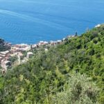 Vernazza (5 Terre): olive grove tour and oil and wine tasting - Discovering the Restored Olive Grove and Its Furry Residents
