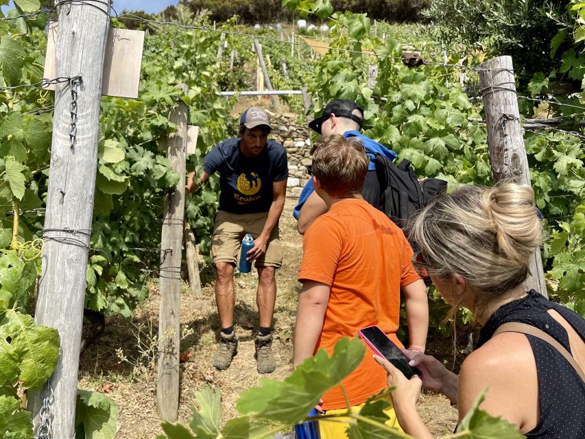Vernazza: Panoramic Vineyard Trekking Tour w/ Wine Tasting - Exploring the Eroico Vineyard in the Cinque Terre Region