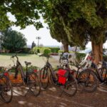 Verona Panoramic E-Bike tour with Lunch - From the Old Town to the Castel San Pietro Hills