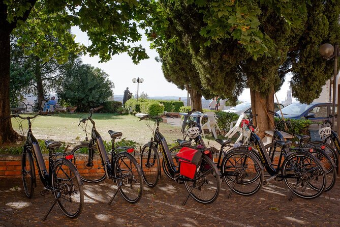 Verona Panoramic E-Bike tour with Lunch - From the Old Town to the Castel San Pietro Hills