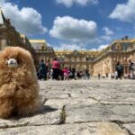 Versailles Half-day Private Tour by Luxury Car - Exploring the Palace of Versailles with a Private Guide