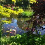 Versailles Palace and Giverny Private guided tour from Paris - Exploring Monet’s House and Gardens with Skip-the-Line Access