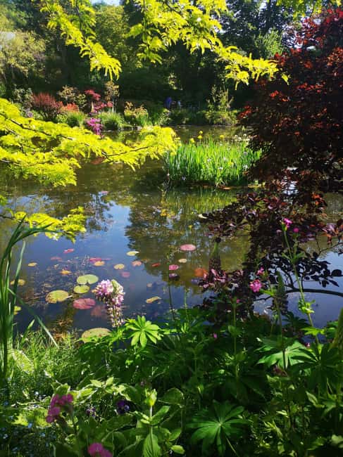 Versailles Palace and Giverny Private guided tour from Paris - Exploring Monet’s House and Gardens with Skip-the-Line Access