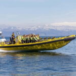 Vestmannaeyjar: 2 hour RIB boat Tour - Exciting Speedboat Ride Exploring Vestmannaeyjar’s Islands