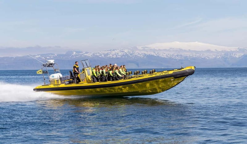 Vestmannaeyjar: 2 hour RIB boat Tour - Exciting Speedboat Ride Exploring Vestmannaeyjar’s Islands