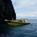 Vestmannaeyjar: One Hour Small Islands Trip - The Thrill of Iceland’s Coastal RIB Speedboat Experience