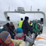 Vestmannaeyjar: Puffin, Island, and Volcano Boat Tour - The Departure and Meeting Point in Vestmannaeyjar