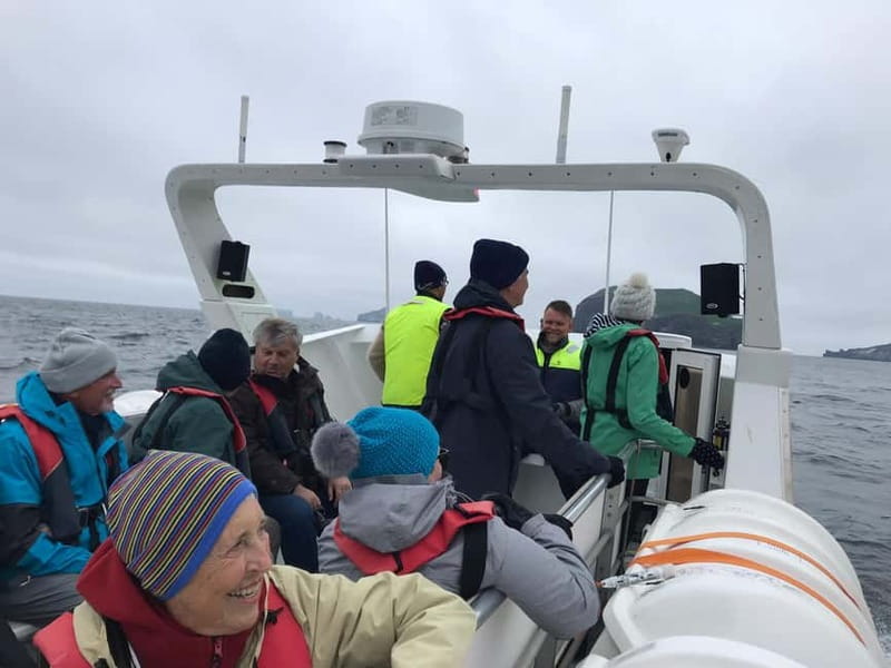 Vestmannaeyjar: Puffin, Island, and Volcano Boat Tour - The Departure and Meeting Point in Vestmannaeyjar