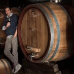 Vesuvius & Vineyard select from Sorrento - Hassle-Free Transportation from Sorrento to Vesuvius