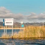 Viareggio: Marshes Electric Boat Tour with Wine Tasting - Discovering Puccini’s Connection to the Marshes