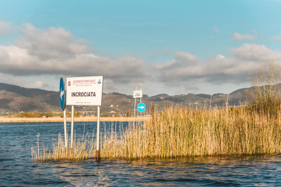 Viareggio: Marshes Electric Boat Tour with Wine Tasting - Discovering Puccini’s Connection to the Marshes