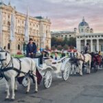 Vienna: 30-Minute Fiaker Ride in the Old Town - Starting at St. Stephens Cathedral or Michaelerplatz