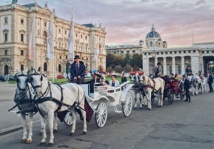 Vienna: 30-Minute Fiaker Ride in the Old Town - Starting at St. Stephens Cathedral or Michaelerplatz