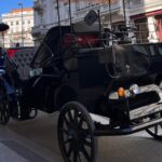 Vienna: 60 min. Royal E-Carriage Sightseeing Tour with Drinks - Exploring Vienna’s Royal and Cultural Landmarks