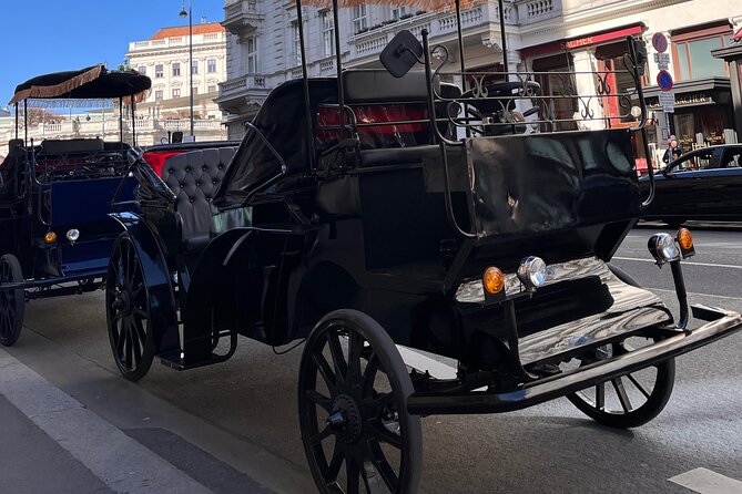 Vienna: 60 min. Royal E-Carriage Sightseeing Tour with Drinks - Exploring Vienna’s Royal and Cultural Landmarks