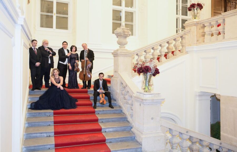 Vienna: Concert by the Vienna Baroque Orchestra - Inside the Concert Hall: An Atmosphere of Elegance