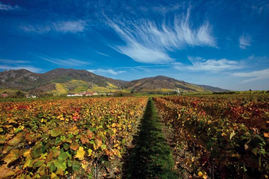 Vienna: eský Krumlov and Wachau Valley Tour - Who Will Appreciate This Tour?