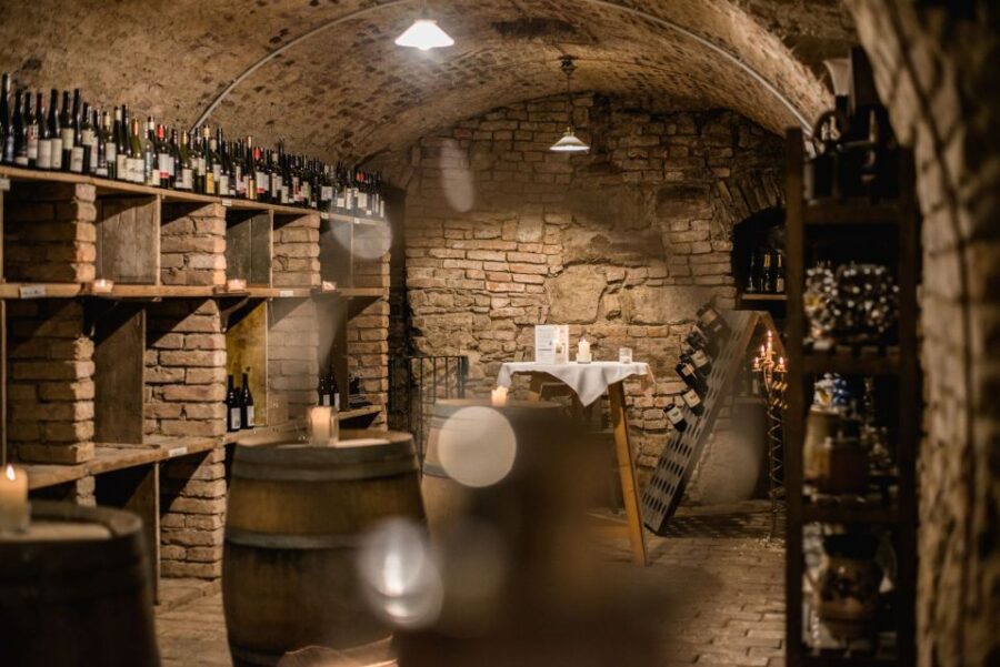 Vienna: Hidden Wine Cellars Tasting Experience - Discovering Vienna’s Hidden Cellars in the City Center