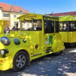 Vienna: Panorama Train Tickets to explore Schönbrunn Palace - Visiting the Gloriette and Other Main Highlights