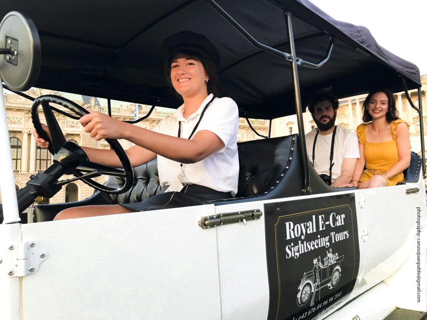 Vienna: Private Electric Car Sightseeing Tour - The Route in the Platinum Tour: Highlights and Landmarks