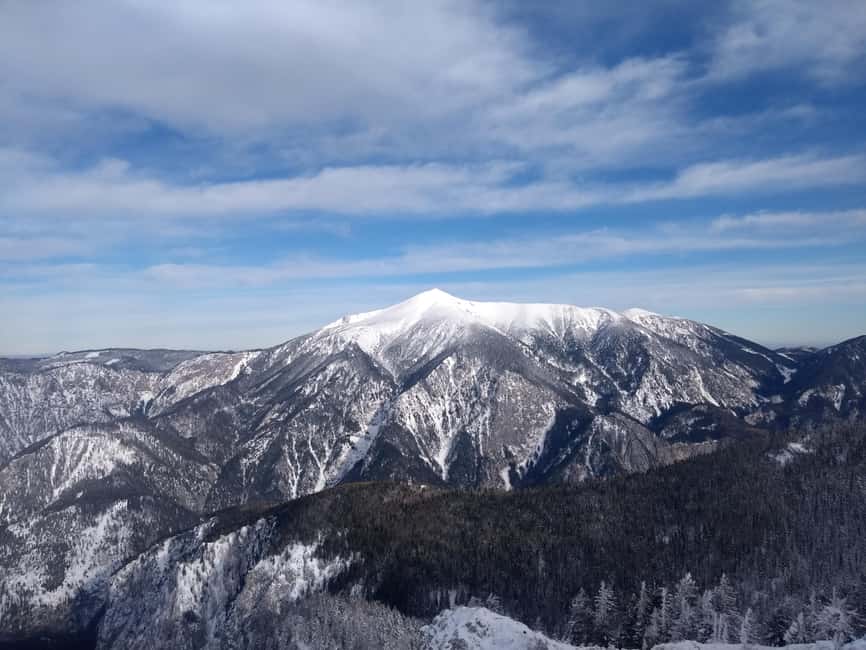 Vienna: Relaxed Alpine Snowshoe Experience Guide & Transfer - The Cable Car Ride to the Mountains Summit